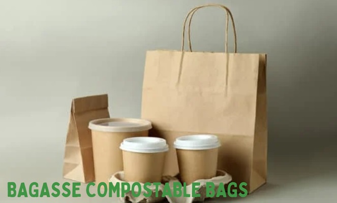 What is Bagasse? 8 Eco Benefits of Bagasse Packaging 10