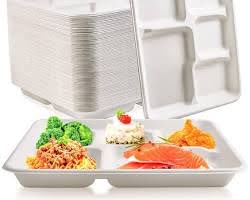 Bagasse Meal Boxes and Tray 05.4