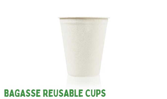 bagasse reusable cups