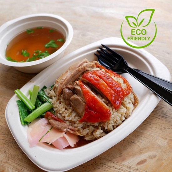 What is Bagasse? 8 Eco Benefits of Bagasse Packaging 5