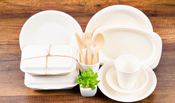 What is Bagasse? 8 Eco Benefits of Bagasse Packaging 2