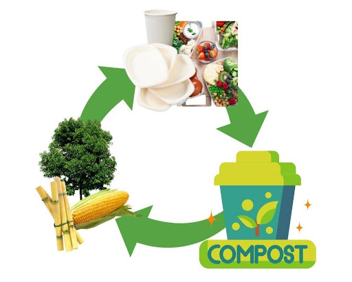 Commercially Compostable vs Home Compostable 1