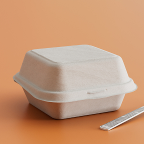 Bagasse Meal Boxes & Trays 02