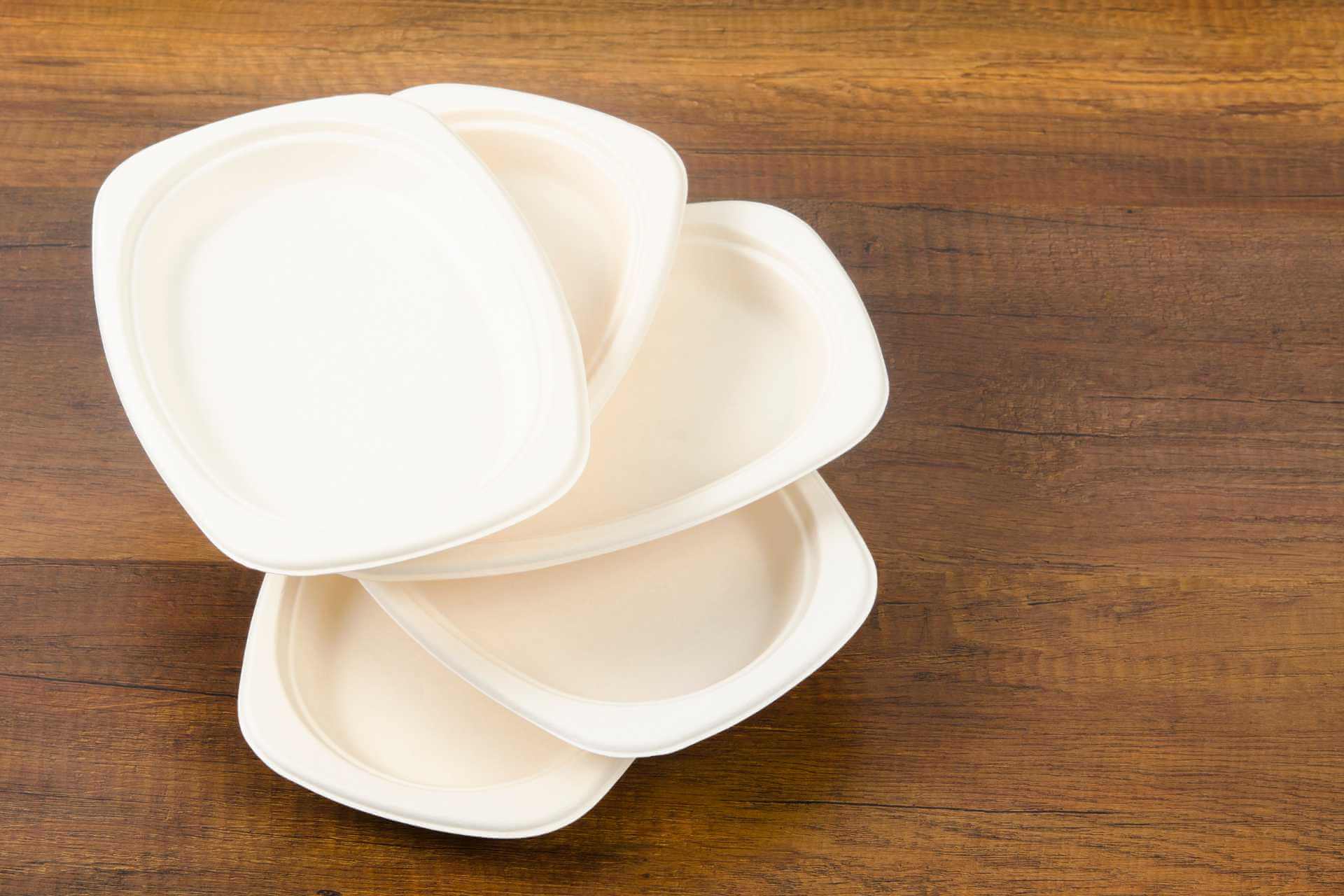 Bagasse Meal Boxes and trays 05.15