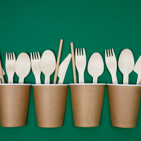 Disposable Cutlery