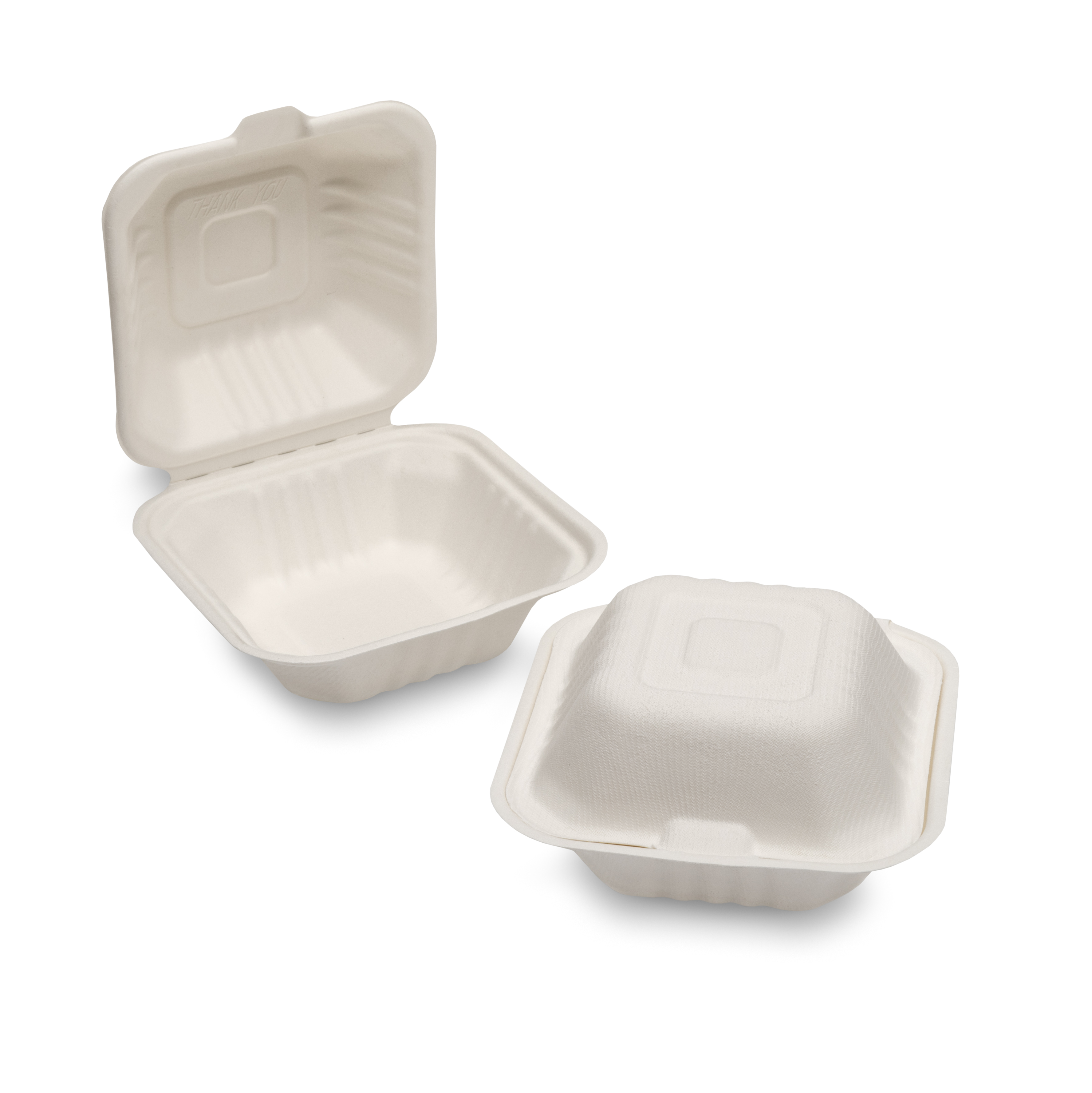 Bagasse Meal Boxes and Trays 05.3