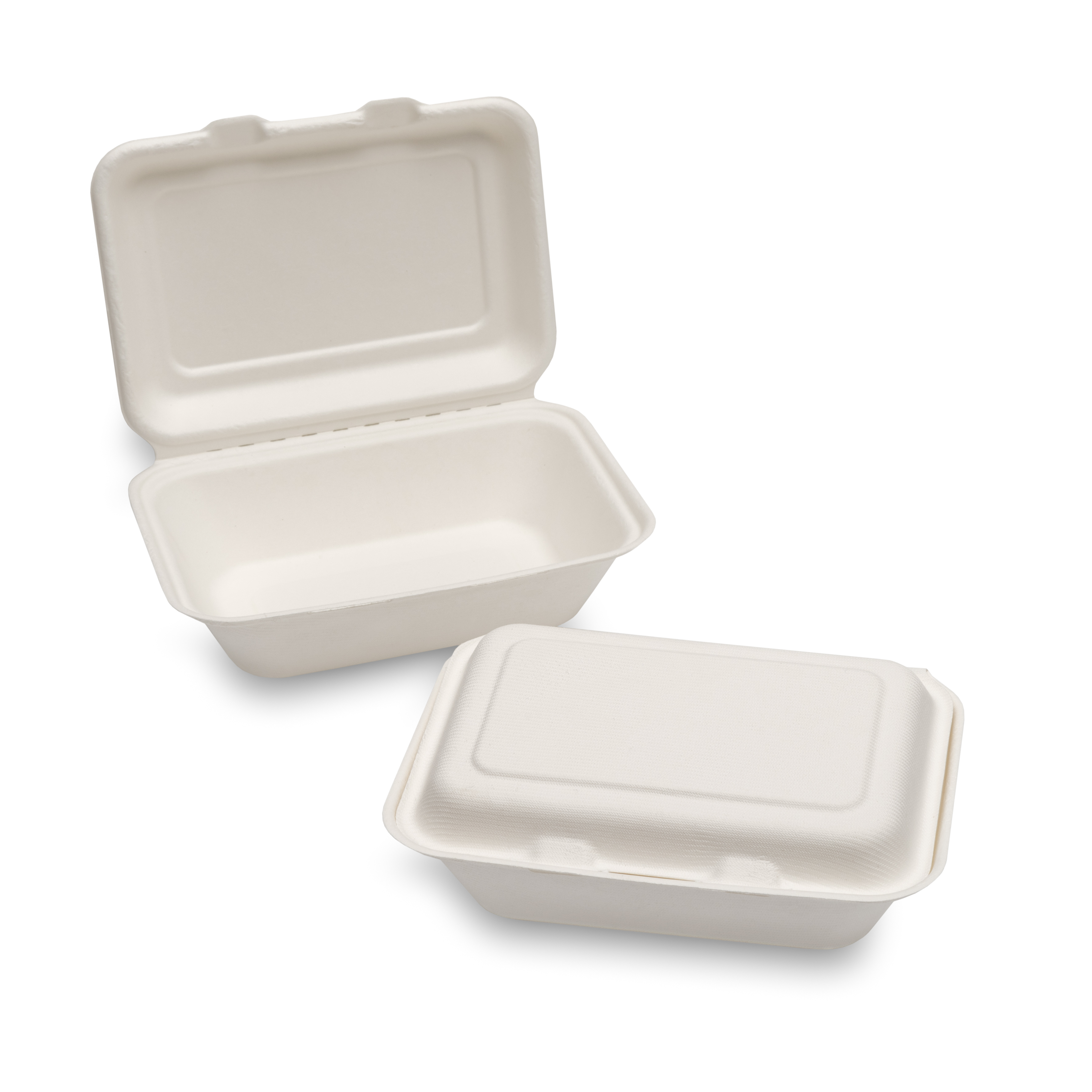 Bagasse Meal Boxes and Trays 05.5