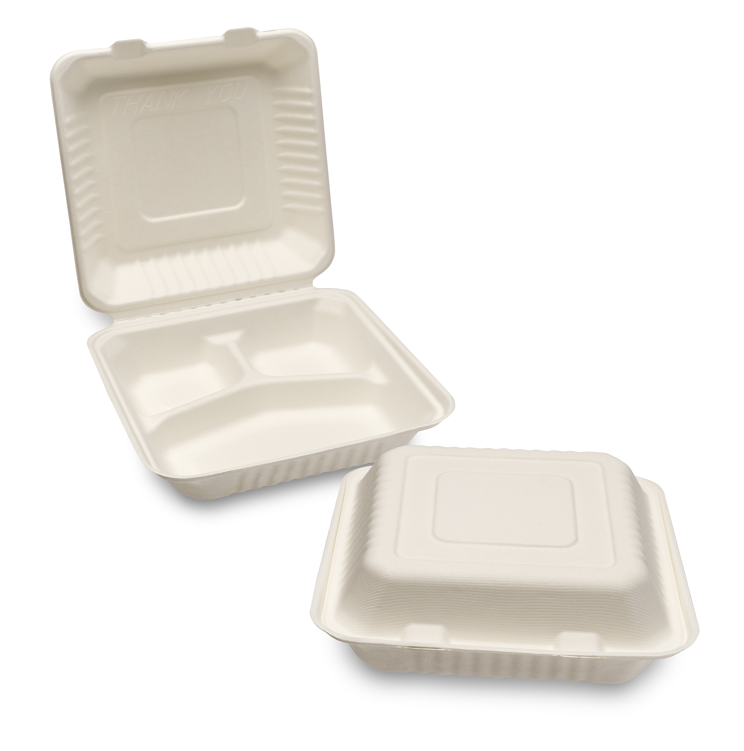 Bagasse Meal Boxes and Trays 05.7