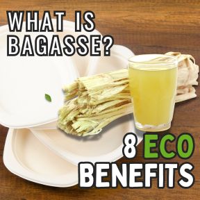 what is bagasse